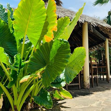 Ltorec Nyali Beach Ngoại thất bức ảnh