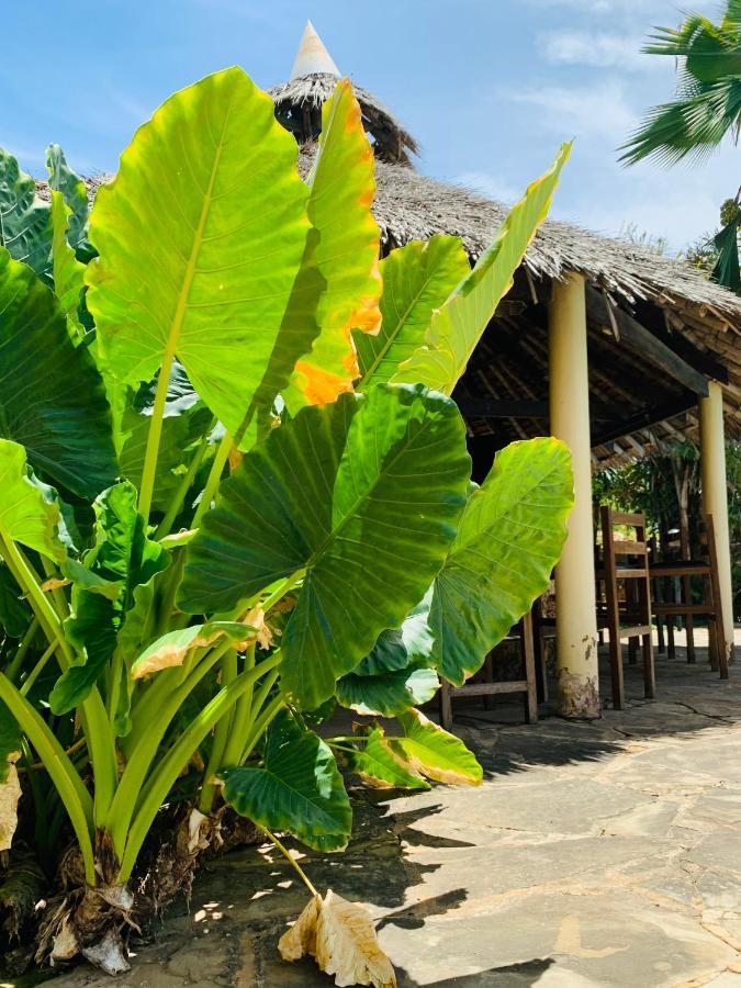 Ltorec Nyali Beach Ngoại thất bức ảnh